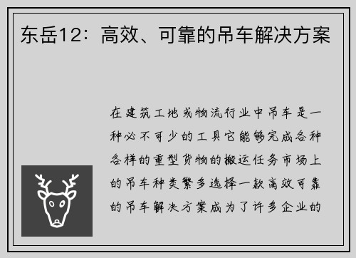 东岳12：高效、可靠的吊车解决方案