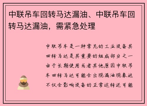 中联吊车回转马达漏油、中联吊车回转马达漏油，需紧急处理