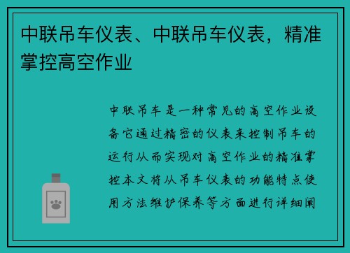 中联吊车仪表、中联吊车仪表，精准掌控高空作业